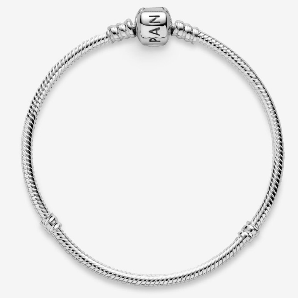 Pandora Charm Bracelet
